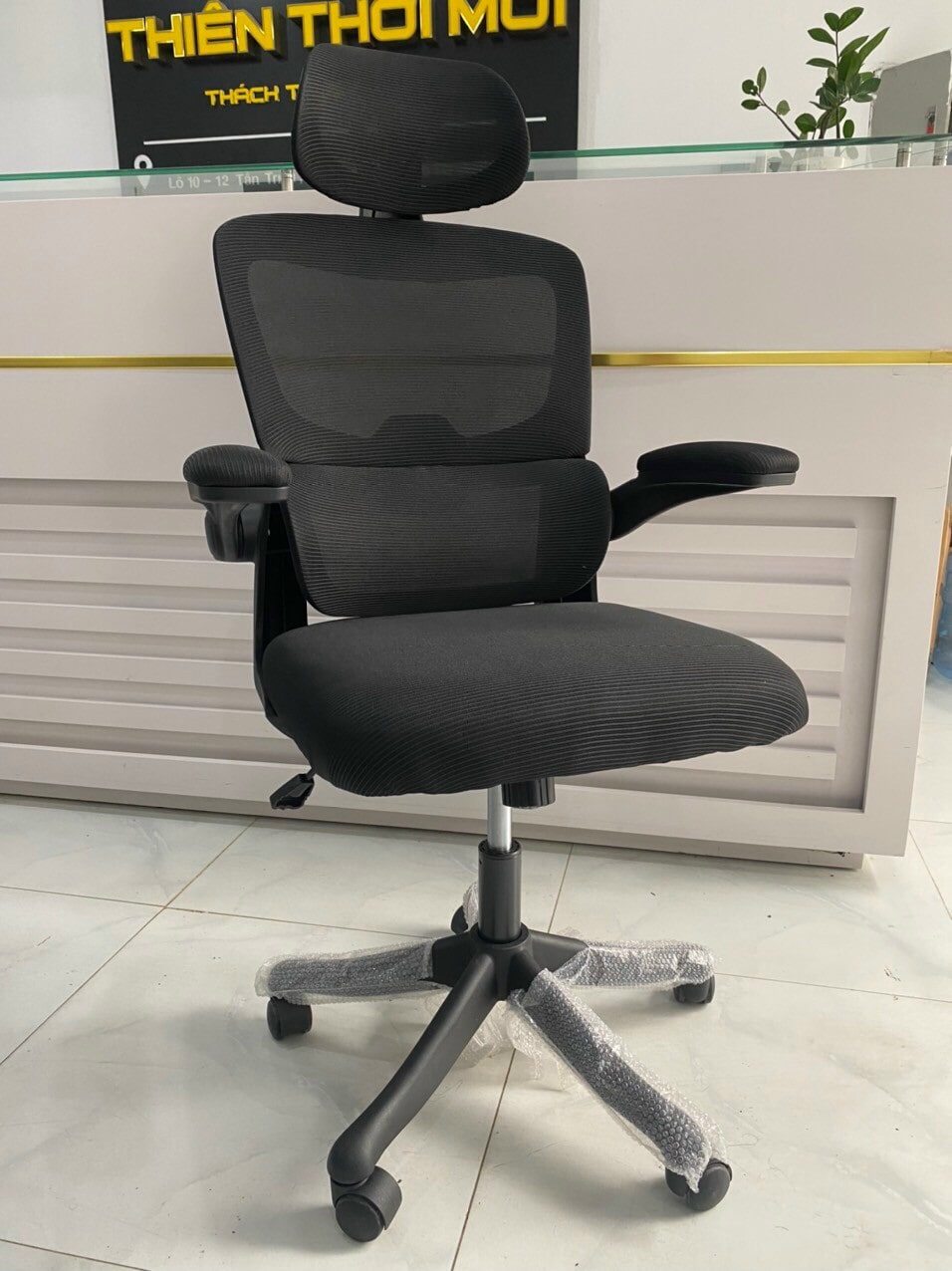 Ghế Công Thái Học TMS09